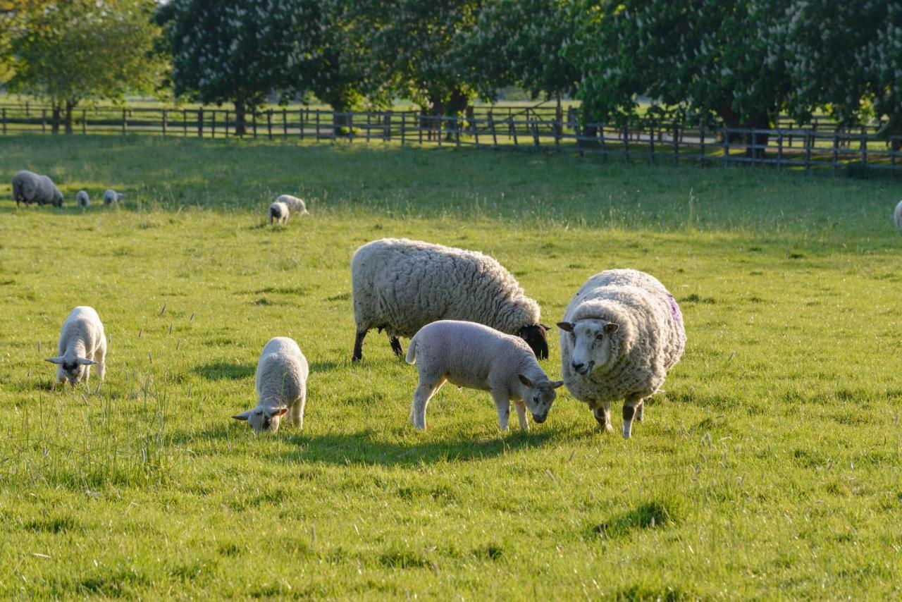 Cambridge Country Cottages Bagian luar foto